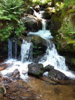 Coach Gabriele Kolmer Leben im Fluss