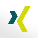 Link zum XING-Profil von Aria Kolmer